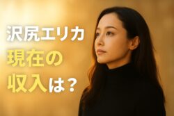 沢尻エリカの現在の収入は？