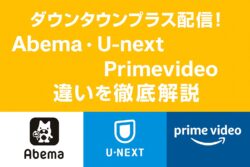 ダウンタウンプラス配信！違いを徹底解説