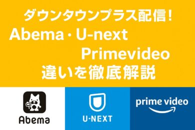 ダウンタウンプラス配信！違いを徹底解説