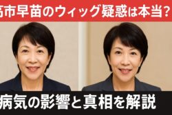 高市早苗はウィッグ？