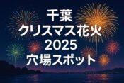 千葉Xmas芸術花火